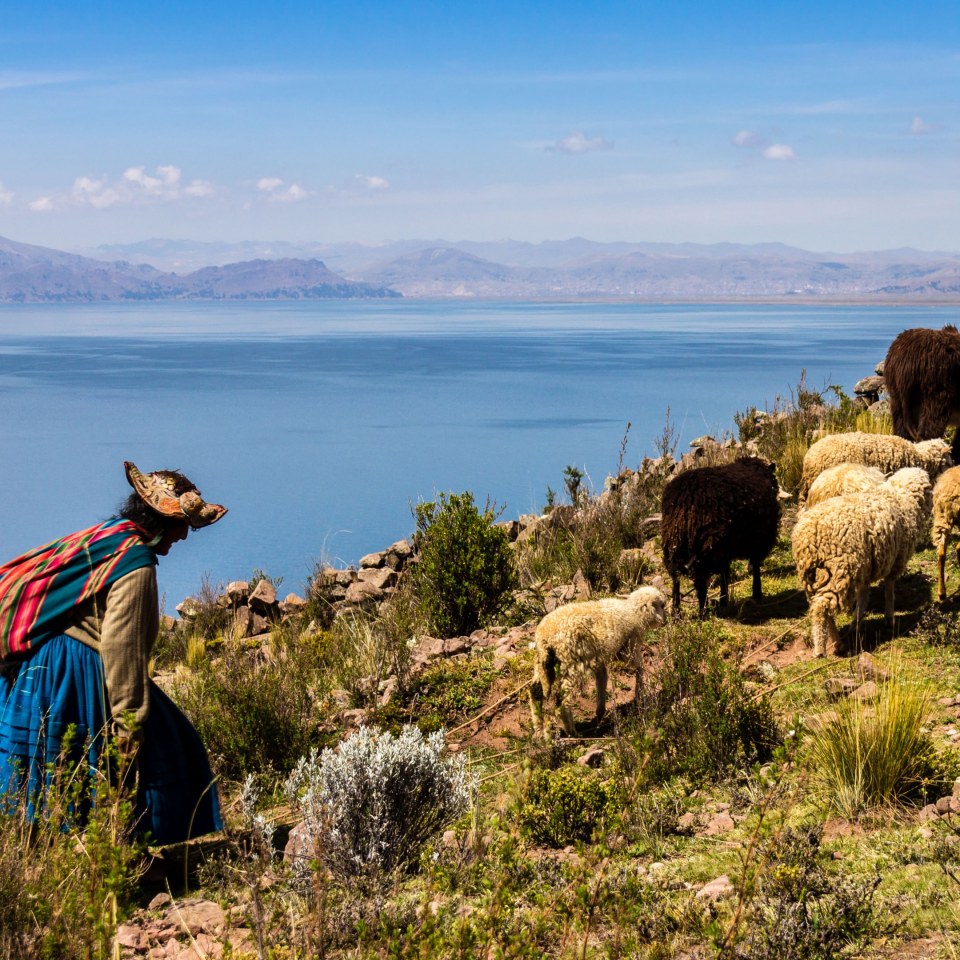 Die vielfältige Welt der Inkas